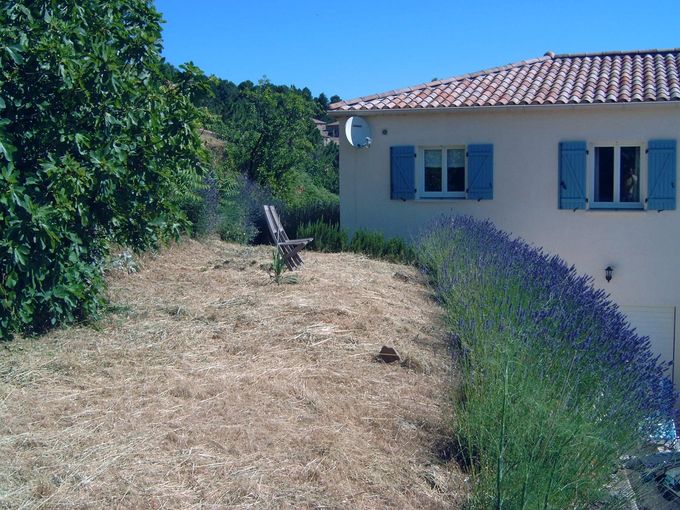 De purperen lavendel in een natuurlijke tuin met verschillende terassen.